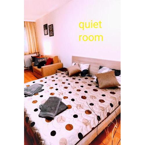 Borovets Villa Park studio