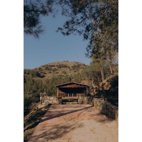 Bosco Paradiso