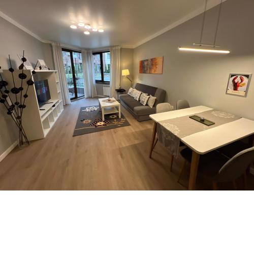 Boston Cozy and Elegant Family apt w Free Parking