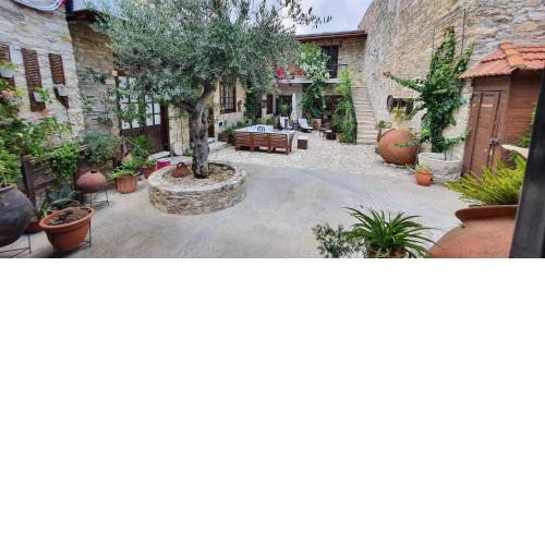 Bougainvillea House Lefkara