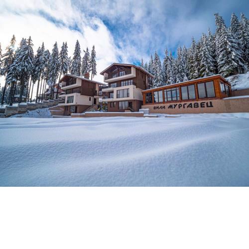 Boutique Villas Murgavets Pamporovo