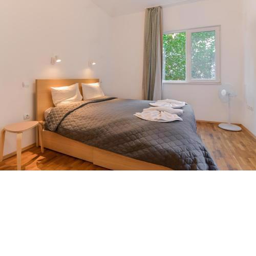 Bright Apartment in the Heart of the City
