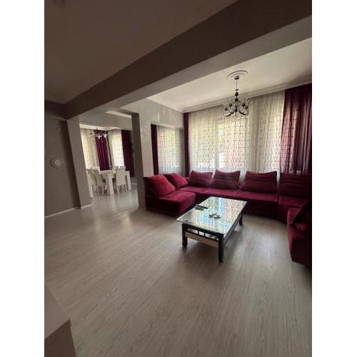 Bursa central house