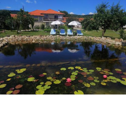 Calla Retreat