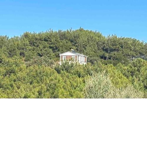 Çamlarla çevrili, esintili, konforlu doğal yaşam