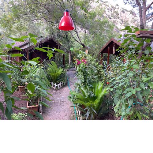 Canario Bungalows