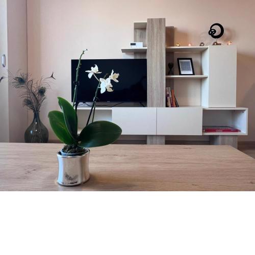 Cappuccino apartment