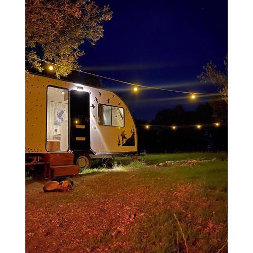 Caravan Home