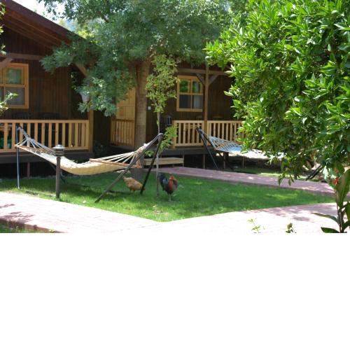 Caretta Caretta Pension