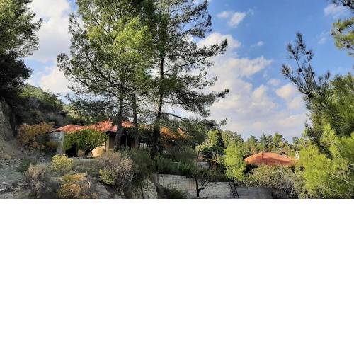 CASA IRENE