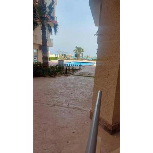 casablanca red sea