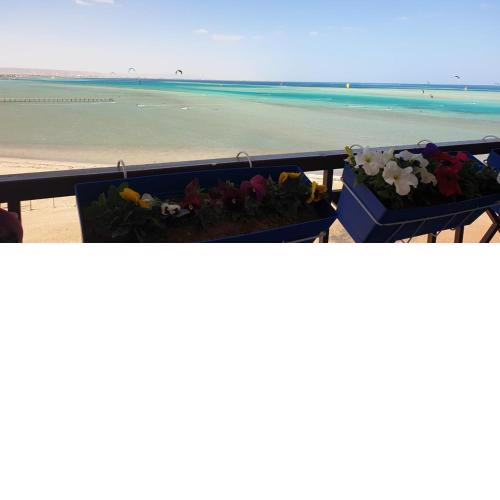 Casablanca resort