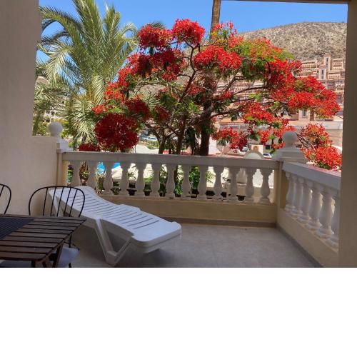 Castle Harbour Samuel's Studio Flat by LoveTenerife