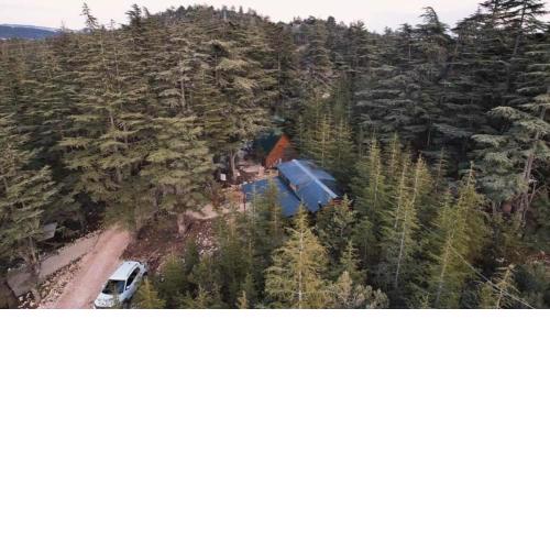 Cedrus life bungalov tesisi