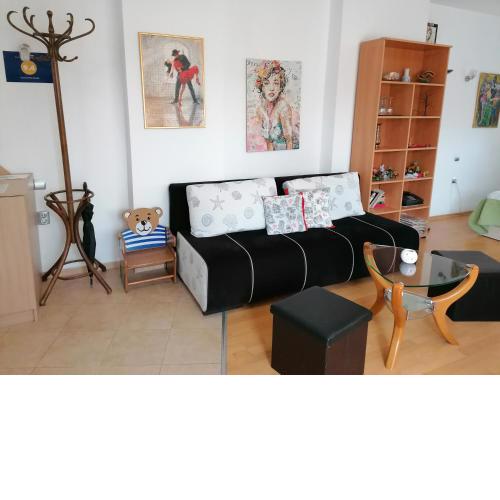 Central Park Studio