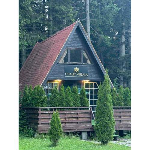 Chalet Musala Borovets