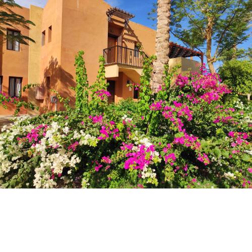 Chalet Stella Makadi Beach 5*