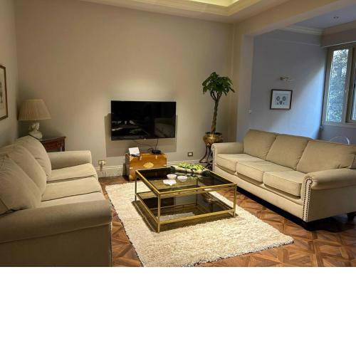 Charming luxurious 2 bedroom apartment in zamalek