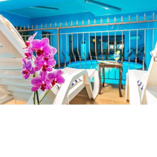 Chateau Montagne Hotel Troyan