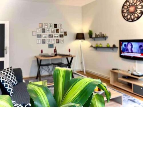 Cihangir House