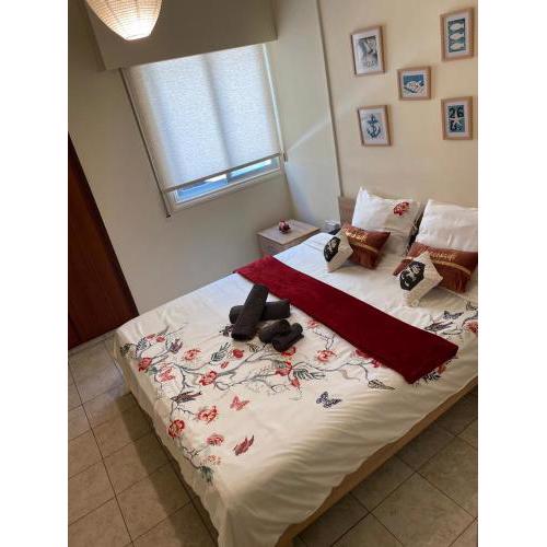 City Comfortable Apartment