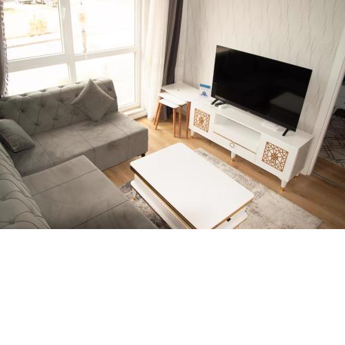 Classic Suite AA7