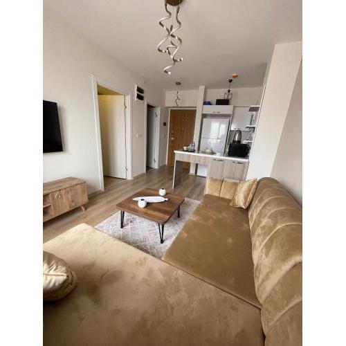 Classic Suite MS33