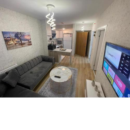 Classic Suite SH17