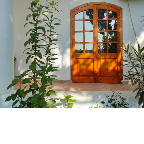 Cleopatra House