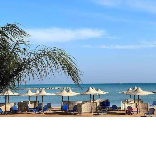 Comfort Zone at Turtles Beach Resort