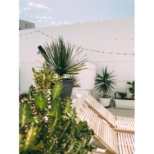 Cool Canaria