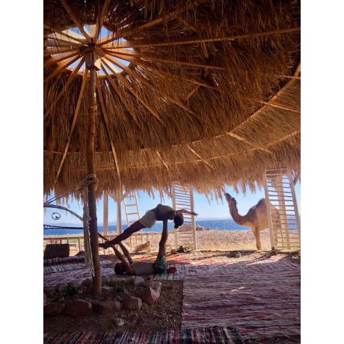 Cosmos Lodge and Spiritual community