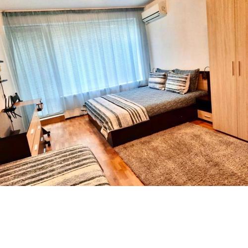 Cosy Breeze Apartment