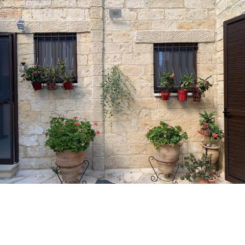 Cosy Piano village cottage in Pachna