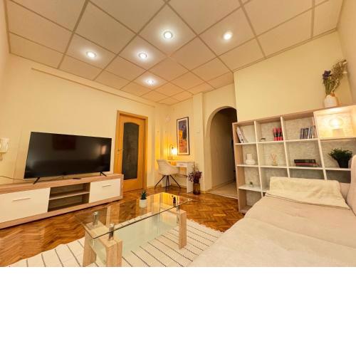 Cozy and quiet central apartment