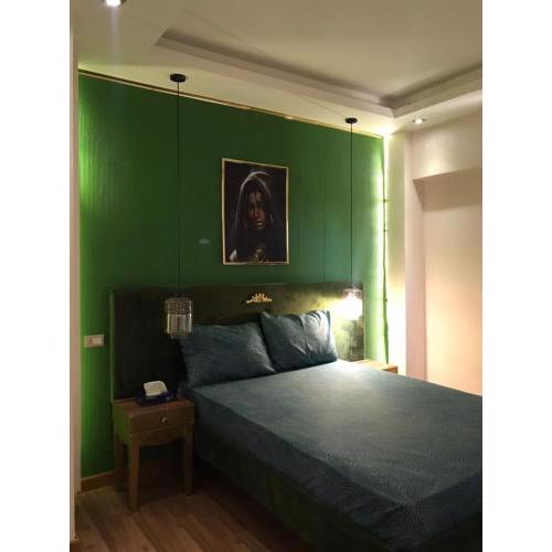 Cozy apartment in new cairo