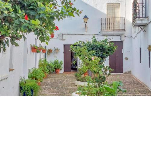 Cozy Apartment In Vejer De La Frontera With Wifi