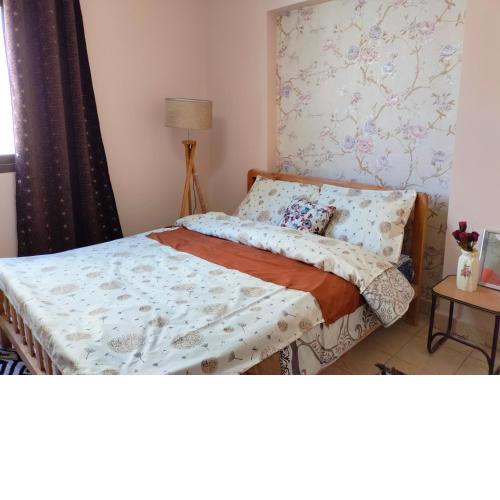 Cozy apartment Maadi Ring road