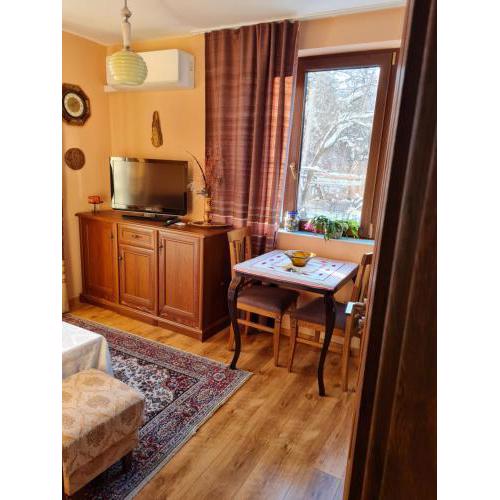 Cozy apartment with balcony