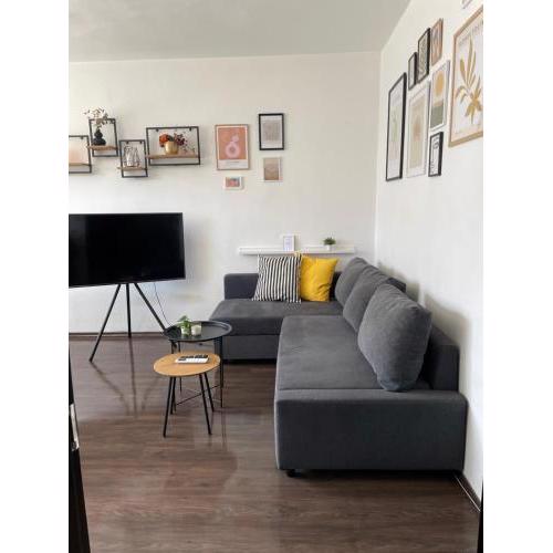 Cozy APT Free Parking Wi-Fi Netflix