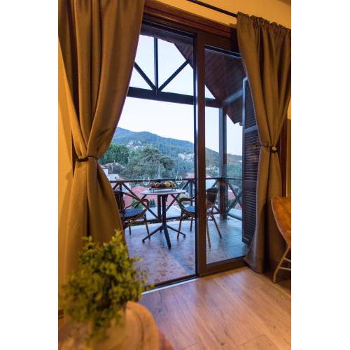 Cozy mountain apartment in Platres