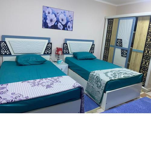 Cozy Nile view apartment