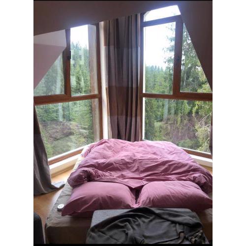 Cozy Studio at The Castle - Pamporovo