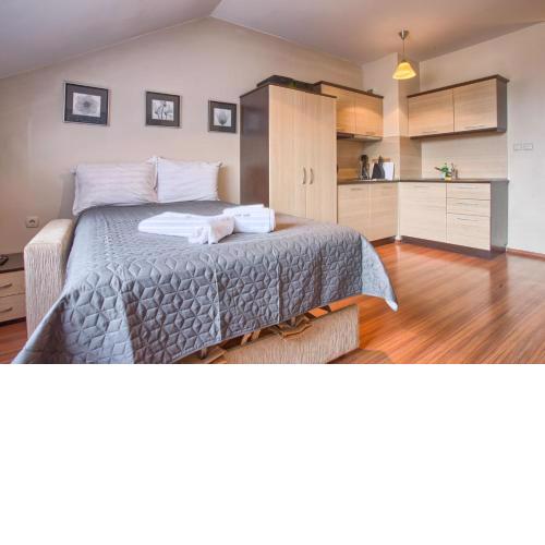 Cozy Studio in The Regnum Bansko Ski Hotel & SPA