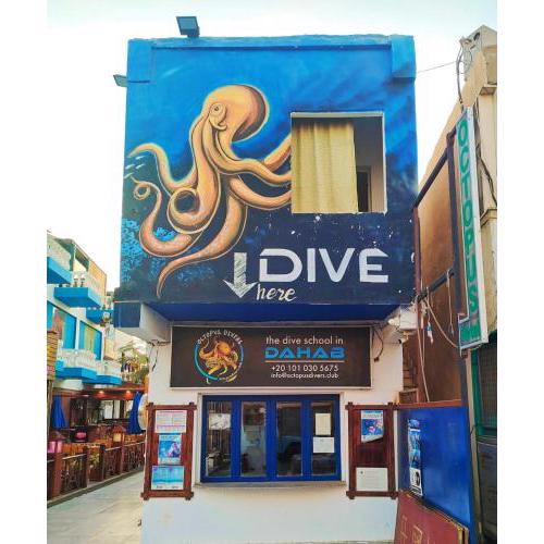 Dahab House Octopus apartment