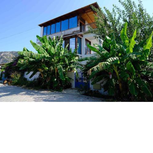 Dalyan Blue