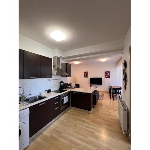 Daniela's modern apartment