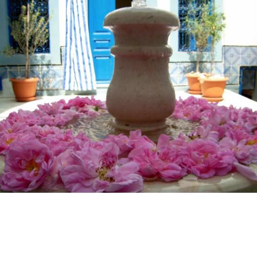 Dar Baaziz