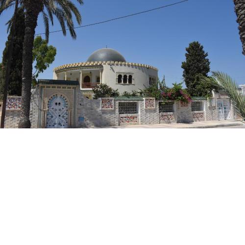 Dar Henani