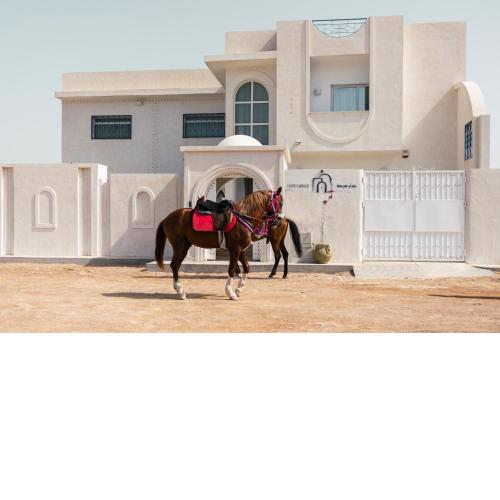 Dar Mima - Luxury Villa Djerba